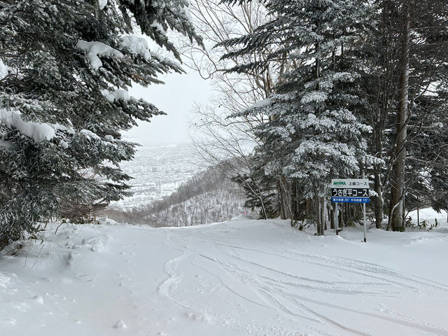 ゲレンデ_札幌藻岩山