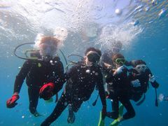 ピンクマーメイドの写真1