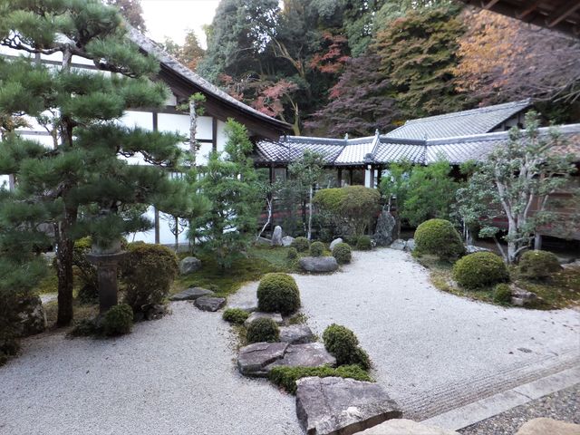書院庭園:飛び石が、石垣に用いられる石のように大きく荒々しい。_西教寺庭園