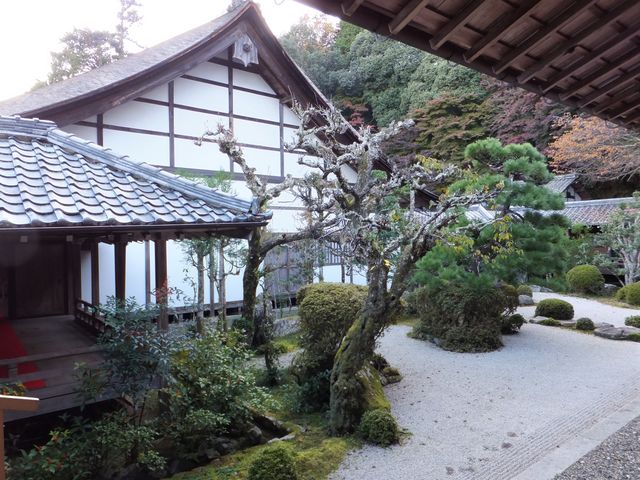 書院庭園_西教寺庭園