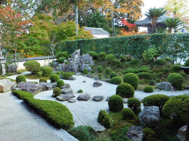 大本坊庭園:大本坊南縁側(左側)の飛び石が大きいのが面白い。_西教寺庭園