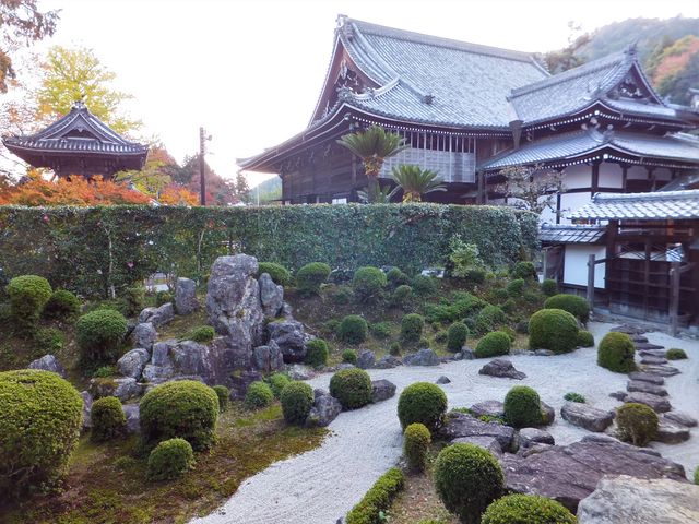 大本坊庭園:左手の三尊石は滝が流れ落ちる姿を表した枯滝石組。_西教寺庭園