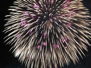 サクラサクさんの道の駅 ながおか花火館の投稿写真2