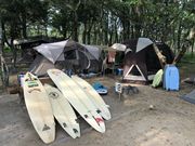 surfer14tさんの土佐西南大規模公園(大方地区)入野松原キャンプ場の投稿写真2