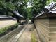 ZUNDAMさんの聖福寺への投稿写真4