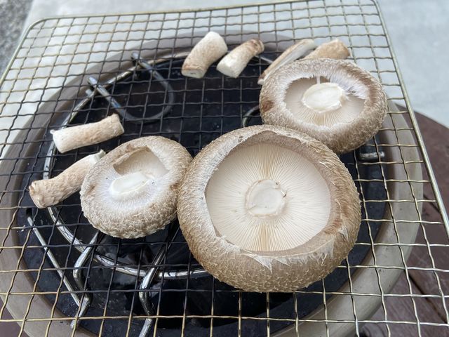 美味しく焼けたかなぁ_持田さんちの椎茸