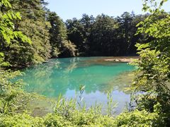 hemulさんの五色沼自然探勝路への投稿写真1