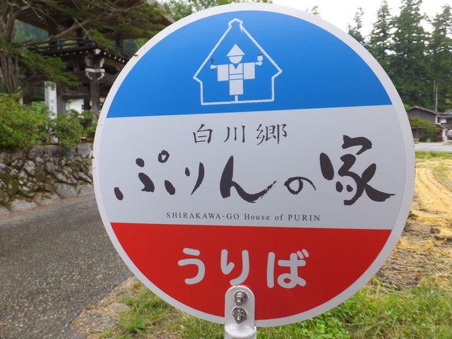 バス停みたいな看板_白川郷 ぷりんの家