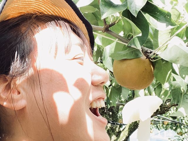 甘ーい!!_清水果樹園
