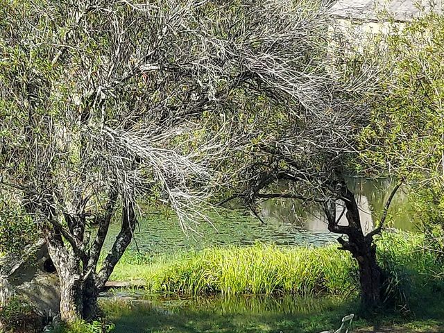園内の素晴らしいシーン_ドゥリムトン村