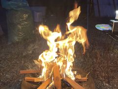 kさんの日浦ベースへの投稿写真1