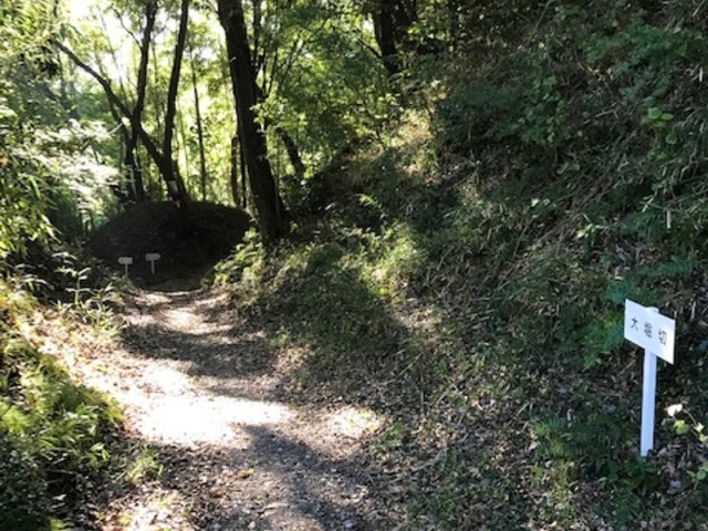 中身はこんな感じで少し行ったり来たり歩きます_本佐倉城跡