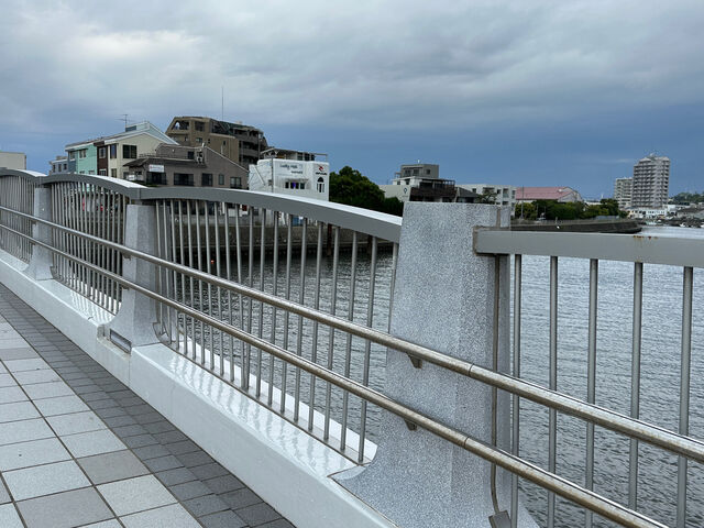 弁天橋_境川