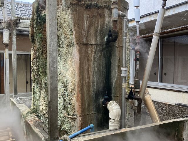 地獄蒸し_陽光荘