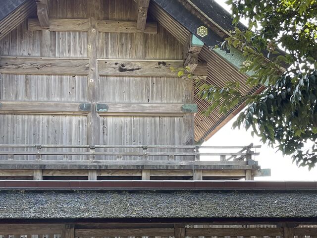 うさぎさんもお参り。_一般社団法人出雲観光協会