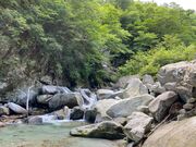 シュタイナーさんのフォッサマグナの投稿写真2