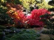 ゆばさんの大通寺庭園の投稿写真1
