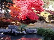 ゆばさんの大通寺庭園の投稿写真2