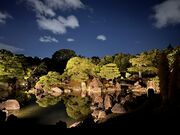 みやさんの二条城の紅葉の投稿写真1