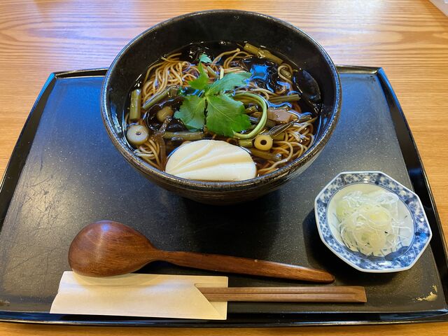 山菜そば。備え付けのネギも新鮮でいい感じでした。
丁寧な作りが感じられて良かったです。_田中庵