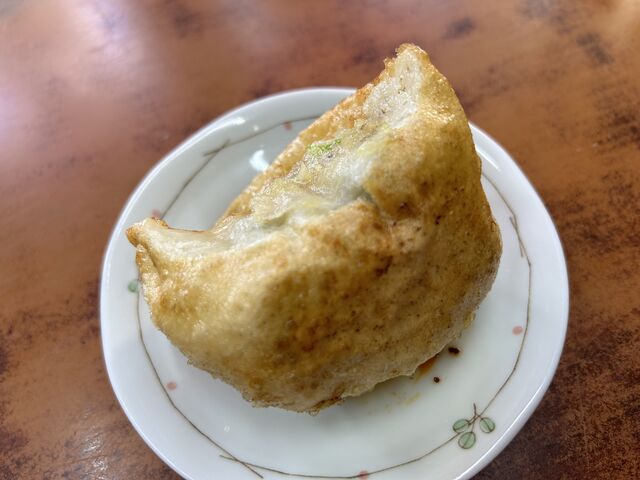 とにかくデカい_ひさご亭 市川大野店