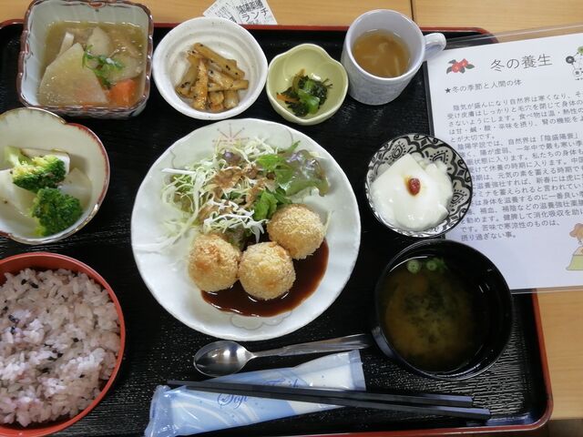 薬膳ランチ 料理の説明がついてます_道の駅 犬挟