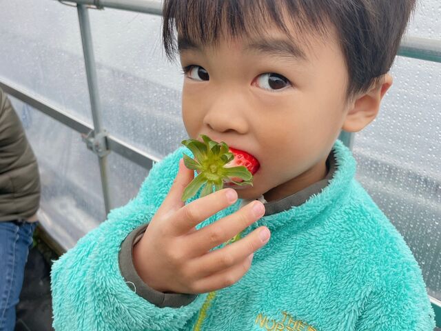 4歳の孫がパクパク食べて居ました。_原文農園