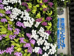 うによさんの海洋博公園への投稿写真1