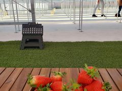 あいさんの苺舎 いちご狩り・直売への投稿写真1