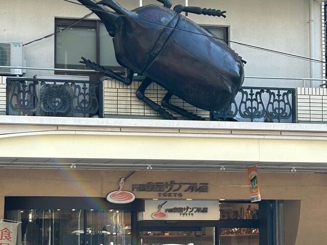お店の反対側の通りを歩いて初めて気が付くカブトムシ_元祖食品サンプル屋 合羽橋ショールーム(本店)