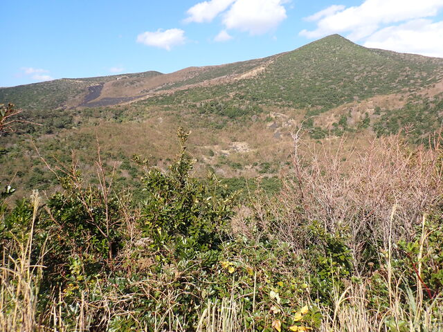 新澪池跡