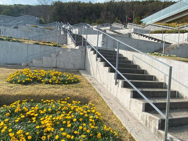 「百段苑」数ブロックに咲く花_百段苑