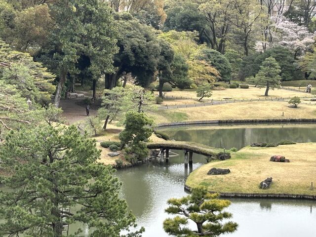 藤代峠から見る田鶴橋_六義園 田鶴橋