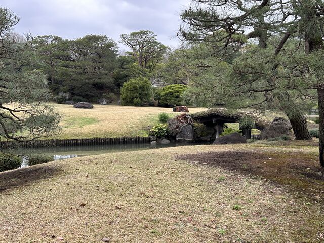 何とも趣深い_六義園 田鶴橋