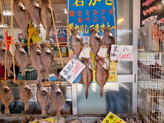 干物や貝も_マリンドリーム能生