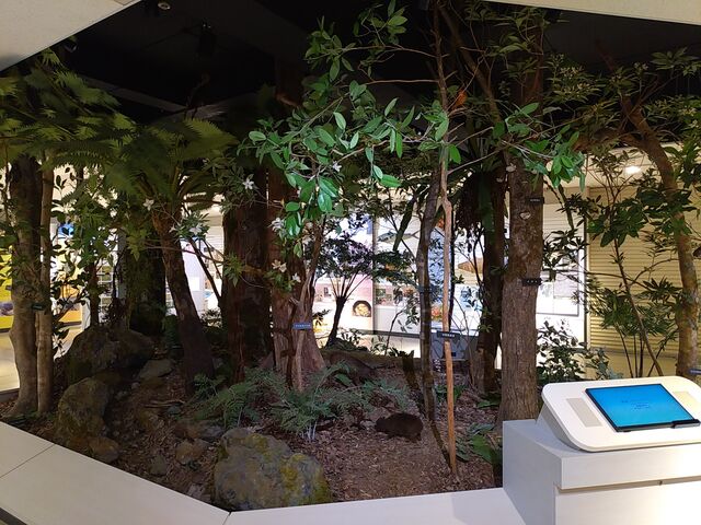 sokudumoさんの奄美博物館の投稿写真1