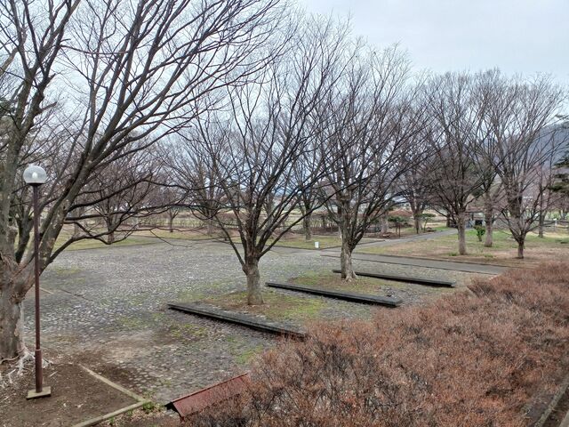 史跡公園_信濃国分寺跡史跡公園