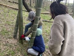 ハラシモベースの写真1