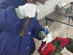 ハラシモベースの写真2