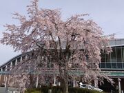 なおなおさんの亀岡駅の投稿写真2