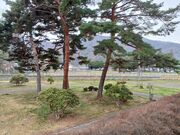 のりゆきさんの国分寺史跡公園の投稿写真1