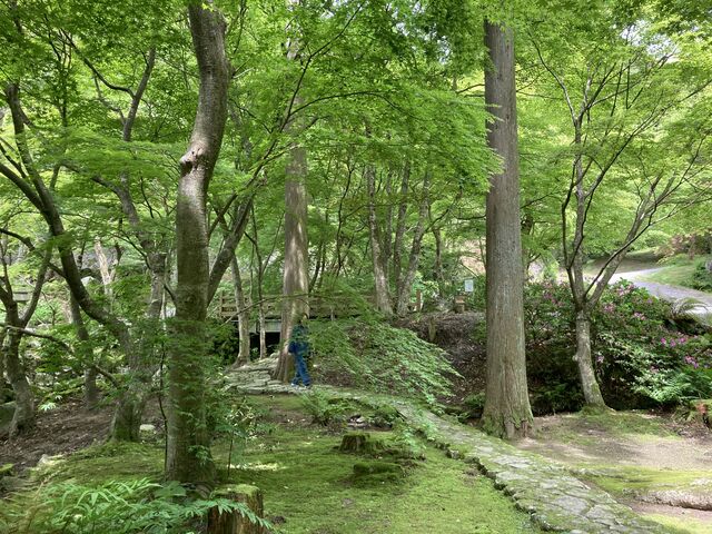 緑の散策は小川の音にも癒されます。_環境芸術の森