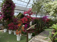 くるめブーゲンの森2ndの写真1