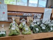 60代のスノーボードおじさんさんの道の駅 上田 道と川の駅の投稿写真4