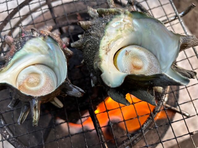 サザエも購入。_舟戸の番屋