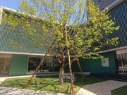 nさんの越前ふくい美術館の投稿写真1