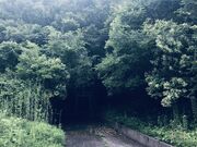 しげぼうさんの須賀神社の投稿写真2