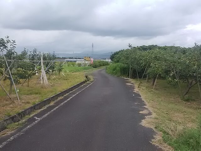 県道からの曲がった農道_愛日園