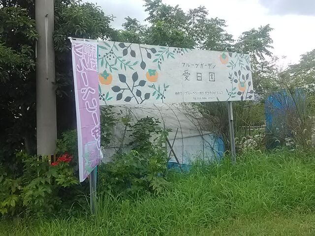 上の小屋の入口_愛日園