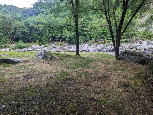 キャンプ場_白州観光尾白キャンプ場